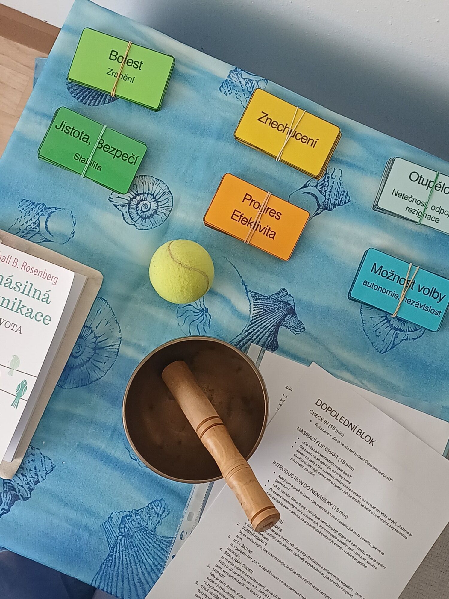 Karty pocitů a potřeb používané na kurzu